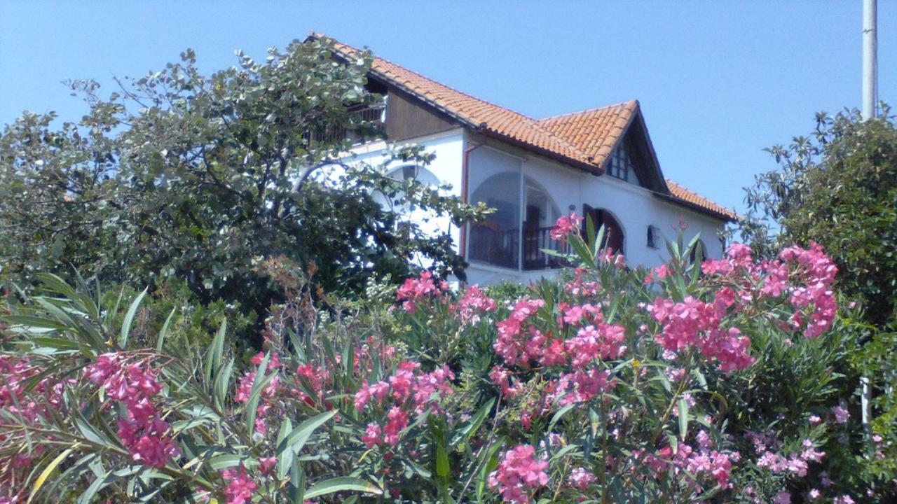 Villa Iris Vrasná 외부 사진